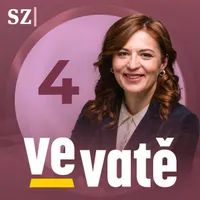 Ve vatě artwork