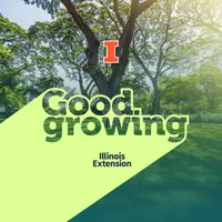 Good Growing artwork