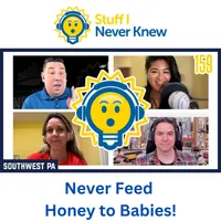 Stuff I Never Knew Trivia Game Show Podcast artwork
