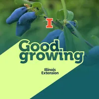 Good Growing artwork