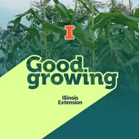 Good Growing artwork