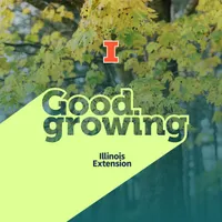 Good Growing artwork