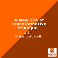 Transformative Principal artwork