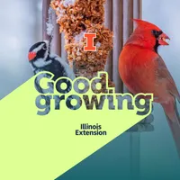 Good Growing artwork