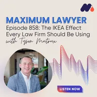 Maximum Lawyer artwork
