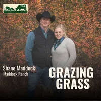 Grazing Grass Podcast | Rotational Grazing, Soil Health & Profitable Livestock Farming artwork