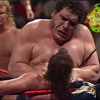 The Wrestling Memory Grenade artwork