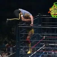 The Wrestling Memory Grenade artwork
