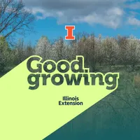 Good Growing artwork