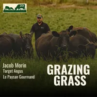Grazing Grass Podcast | Rotational Grazing, Soil Health & Profitable Livestock Farming artwork