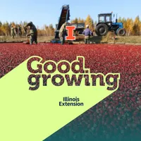 Good Growing artwork