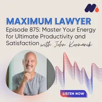 Maximum Lawyer artwork