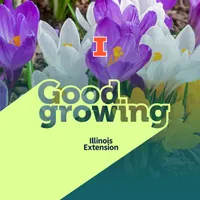 Good Growing artwork