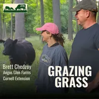 Grazing Grass Podcast | Rotational Grazing, Soil Health & Profitable Livestock Farming artwork