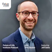 Future of Life Institute Podcast artwork