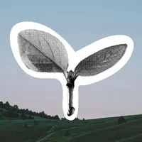 Second Nature artwork