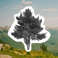 Second Nature artwork
