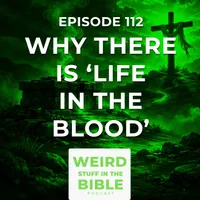 Weird Stuff in the Bible artwork