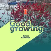 Good Growing artwork