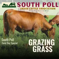 Grazing Grass Podcast | Rotational Grazing, Soil Health & Profitable Livestock Farming artwork