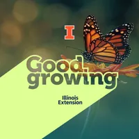 Good Growing artwork