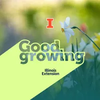 Good Growing artwork