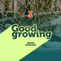 Good Growing artwork