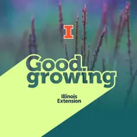 Good Growing artwork