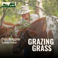 Grazing Grass Podcast | Rotational Grazing, Soil Health & Profitable Livestock Farming artwork