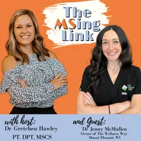 The MSing Link artwork