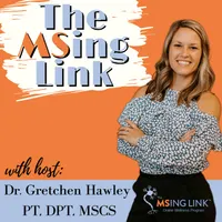 The MSing Link artwork