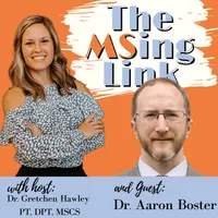 The MSing Link artwork