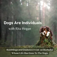 Dogs Are Individuals artwork