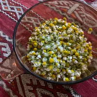 KPFA - The Herbal Highway artwork