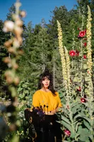 KPFA - The Herbal Highway artwork