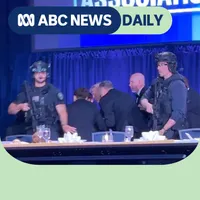 ABC News Daily artwork