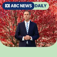ABC News Daily artwork