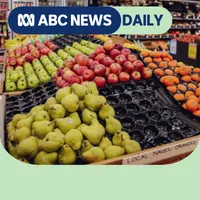 ABC News Daily artwork