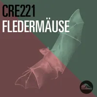 CRE: Technik, Kultur, Gesellschaft artwork