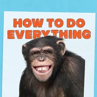 How To Do Everything artwork