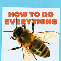 How To Do Everything artwork