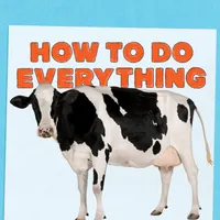 How To Do Everything artwork