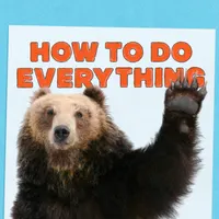 How To Do Everything artwork
