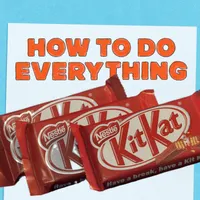 How To Do Everything artwork