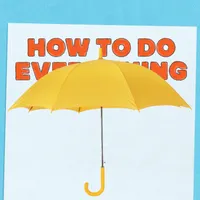 How To Do Everything artwork