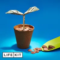 Life Kit: Money artwork