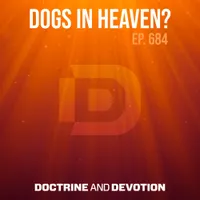 Doctrine and Devotion artwork