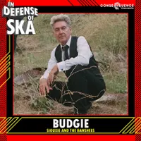 In Defense of Ska artwork