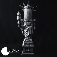 Silver Podcast Network artwork
