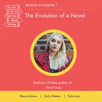 The Shit No One Tells You About Writing artwork